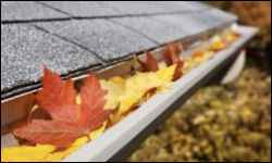 window cleaning, gutter cleaning and maintenance, siding cleaning