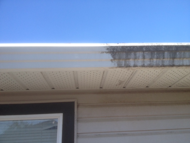 Gutter exterior whitening