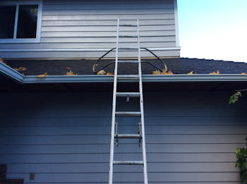 Gutter Cleaning