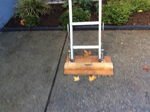 Gutter Cleaning