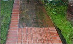window cleaning, gutter cleaning and maintenance, siding cleaning
