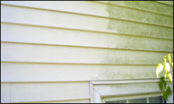 window cleaning, gutter cleaning and maintenance, siding cleaning